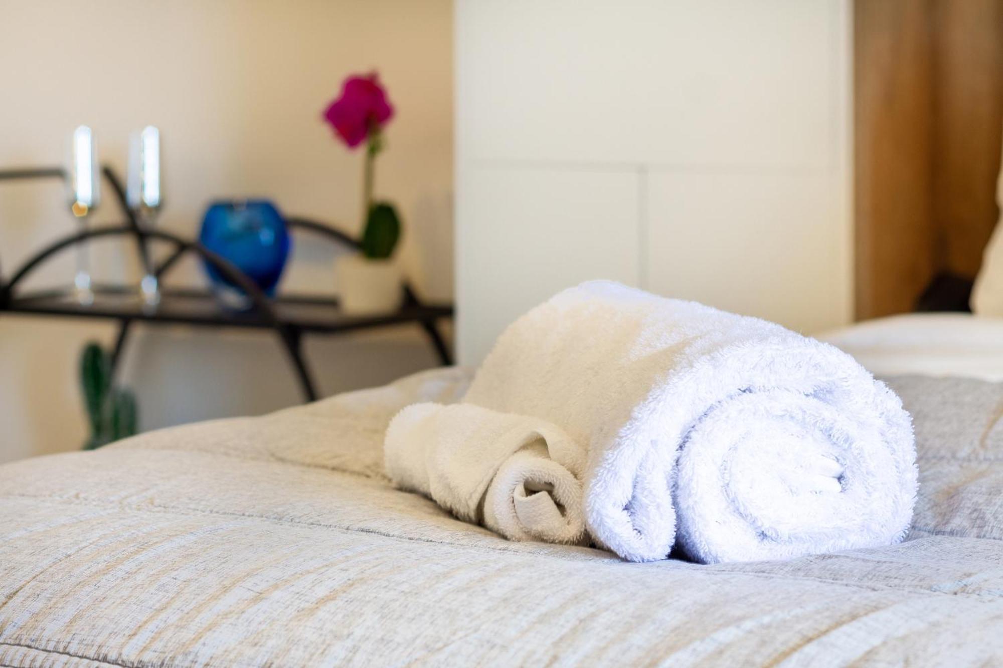 Central City Charm: Pet-Friendly Studio Christchurch Kültér fotó