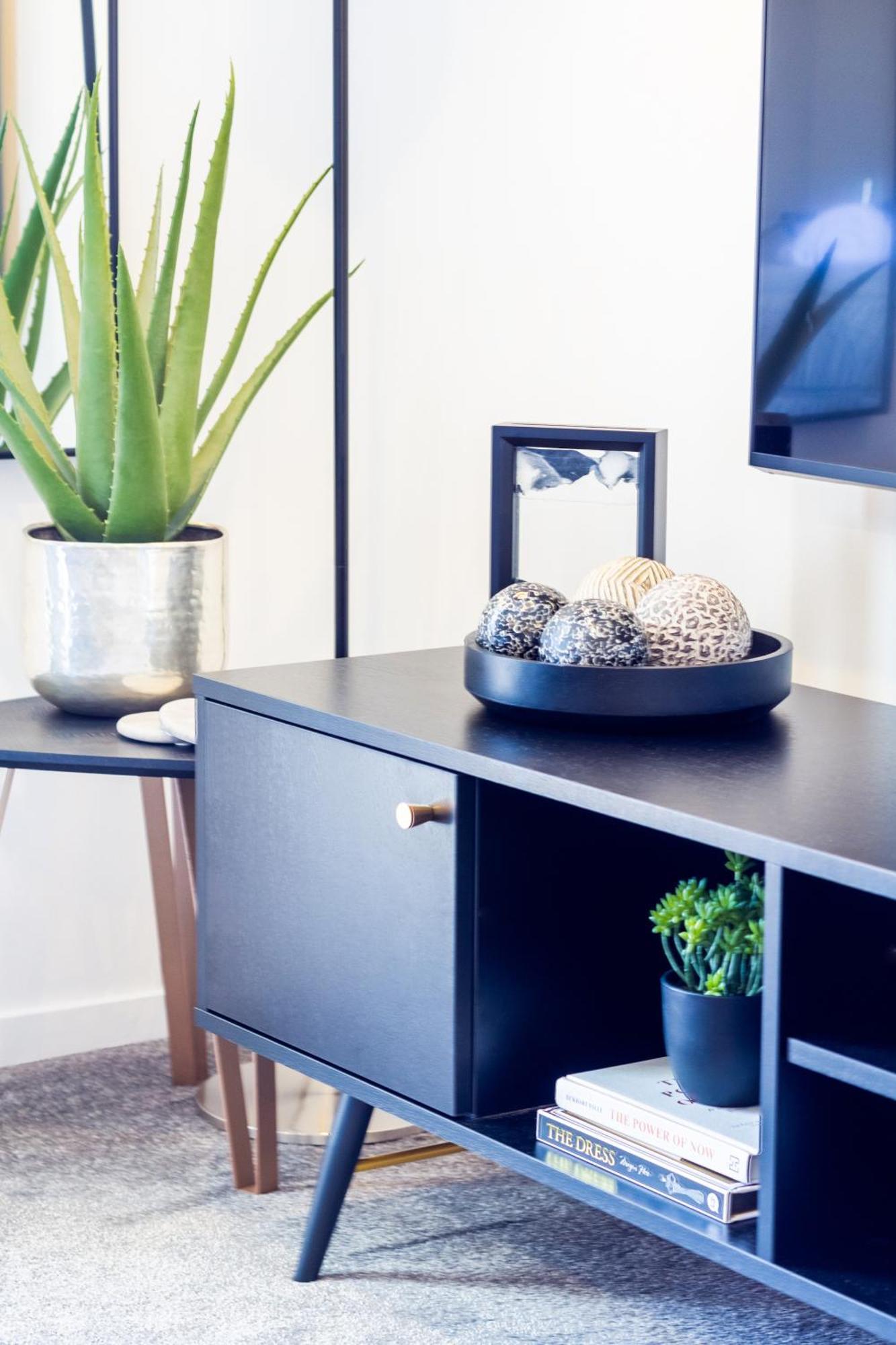 Central City Charm: Pet-Friendly Studio Christchurch Kültér fotó