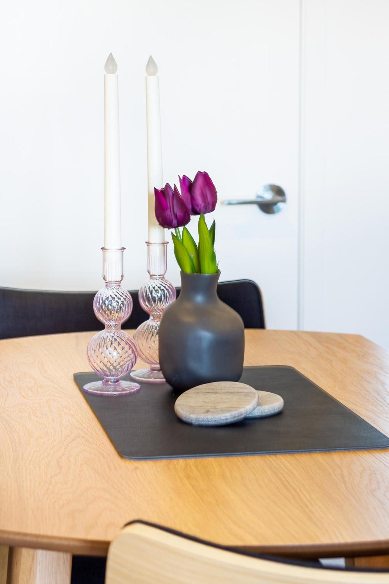 Central City Charm: Pet-Friendly Studio Christchurch Kültér fotó